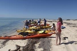 Sea Kayaking Adventure