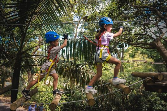 Junior Tree Ropes Course