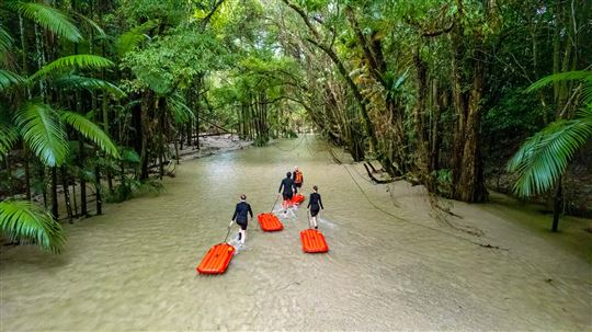 Rainforest River Drift