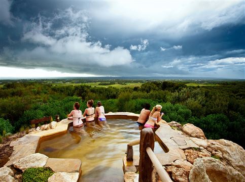 Dolphins, Seals and Hot Springs Day Out