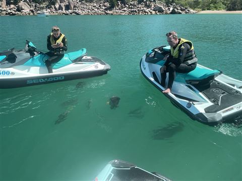 Jet Ski and Snorkel Adventure