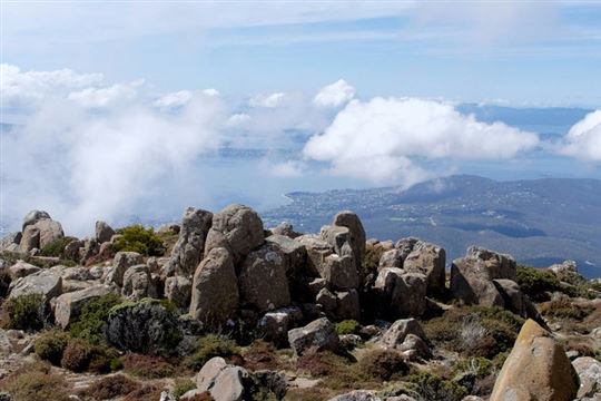 Bruny Island Gourmet Day Tour