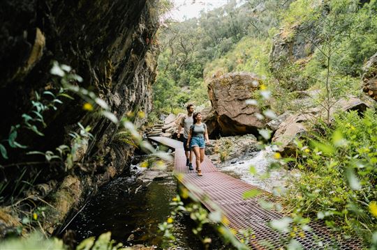 Grampians National Park Wildlife Tour