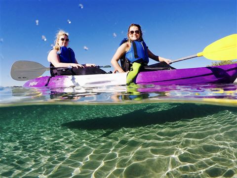 Broadwater Dolphin Kayak Tour, 2 Hours
