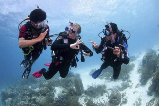 PADI Open Water Course, Gold Coast