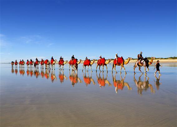 Cable Beach Camel Sampler Ride