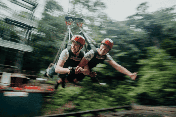 Giant Jungle Swing