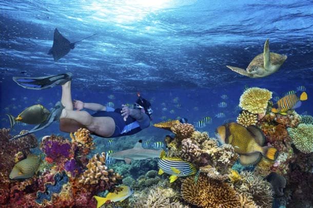 Snorkelling Wave Break Island