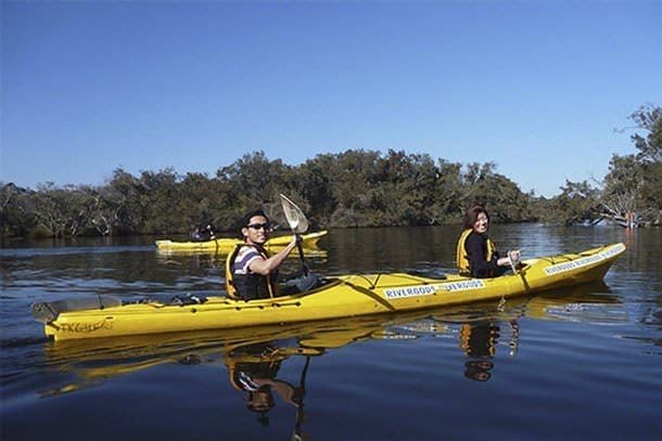 Canning River Half Day Kayaking For Two