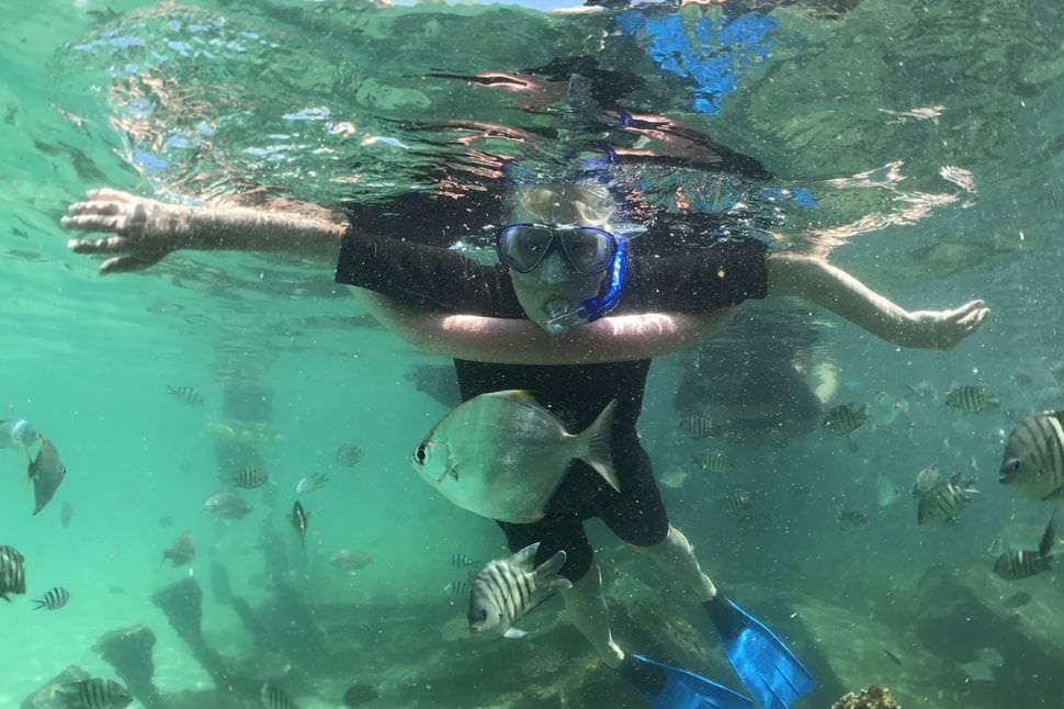 Eco Marine Cruise with Brisbane Transfers