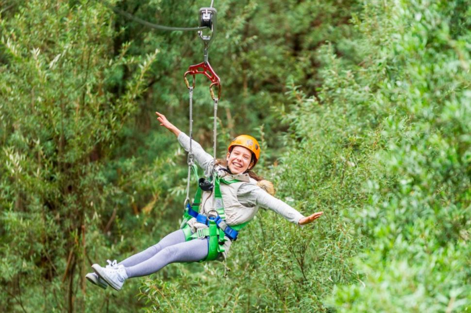 Otway Zipline Adventure Tour