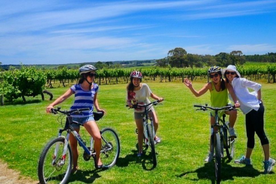 McLaren Vale Mountain Bike Adventure