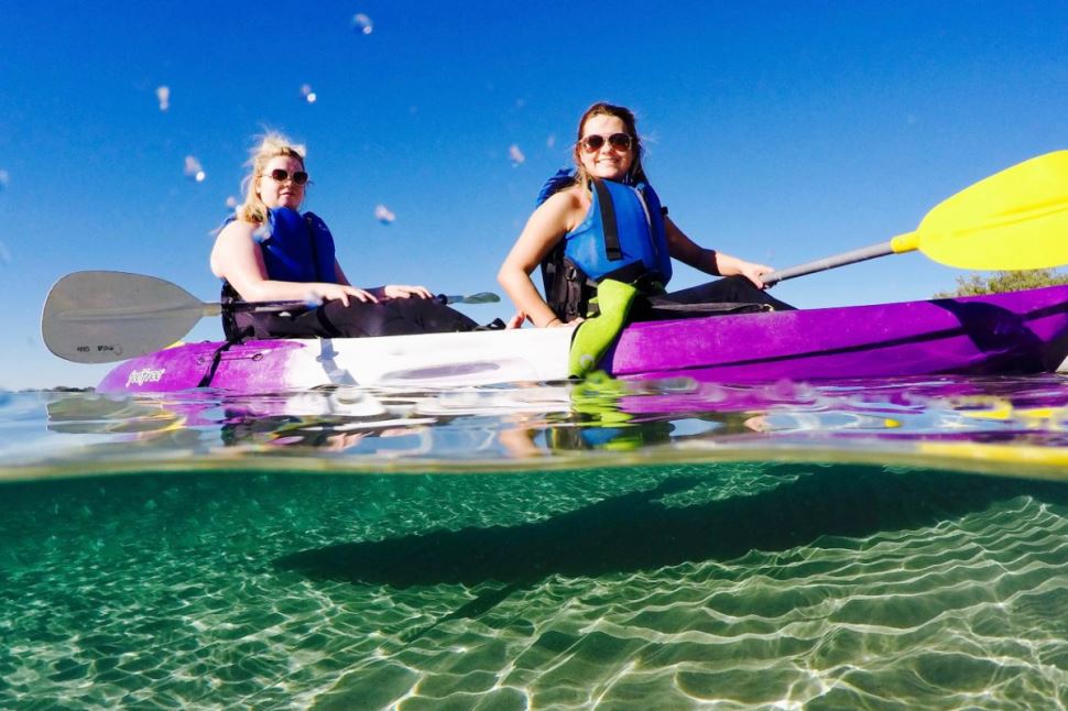 Morning Dolphin Kayaking and Snorkeling Tour