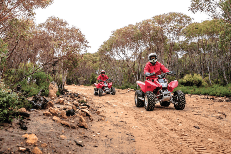 All Terrain Quad Adventure
