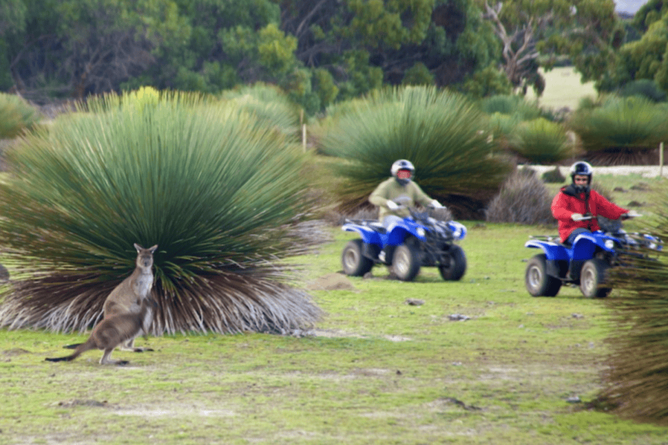 Sunset Quad Bike Kangaroo Safari