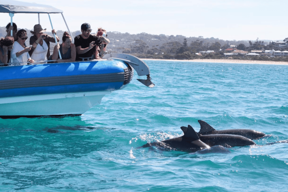 Southern Ocean Adventure for 2