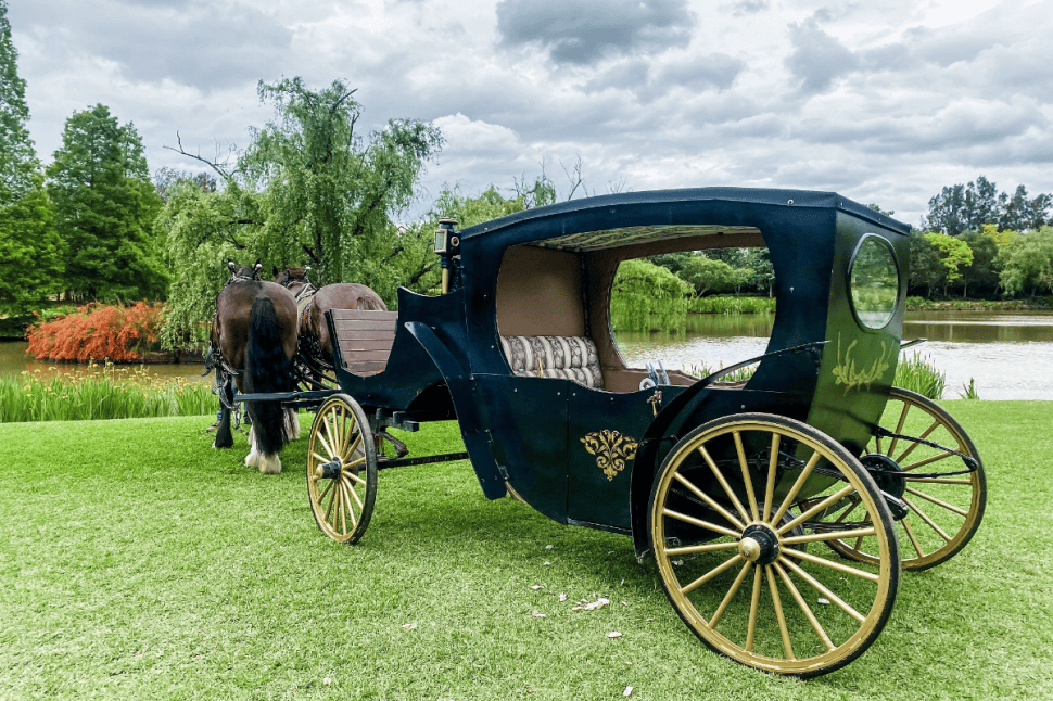 Romantic Horse and Carriage Wine Tour