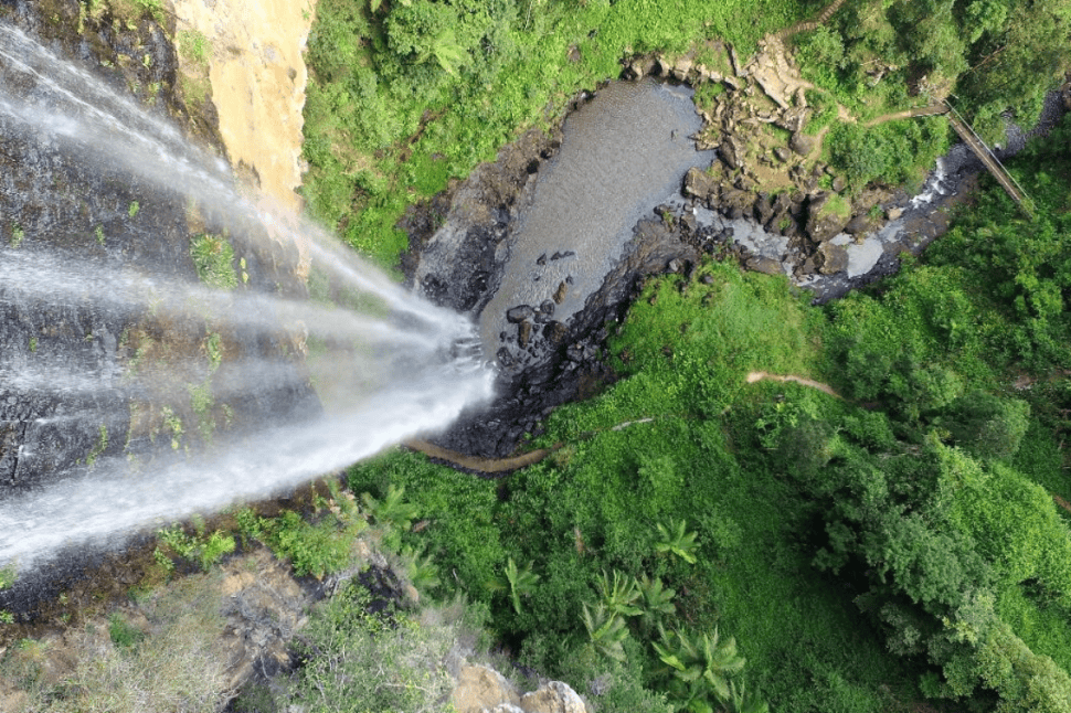 Natural Bridge and Springbrook Waterfalls Tour