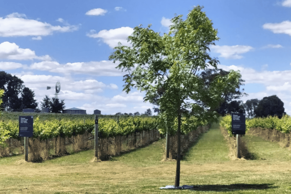 Canberra Brewery, Winery and Distillery Half Day
