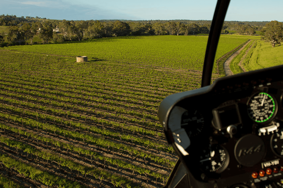 Helicopter and Wine Extravaganza at Pindarie Wines