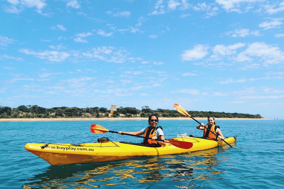 Dolphin Sanctuary Sea Kayak Tour