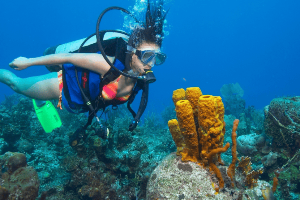 Single Scuba Dive at WaveBreak Island