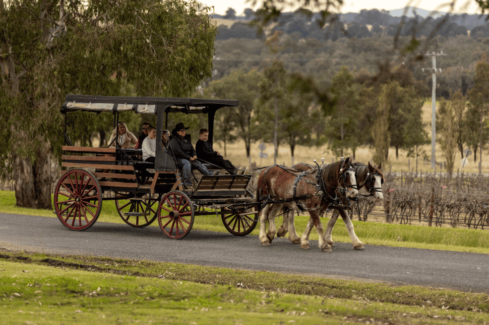 Hunter Valley Wine and Produce Journey