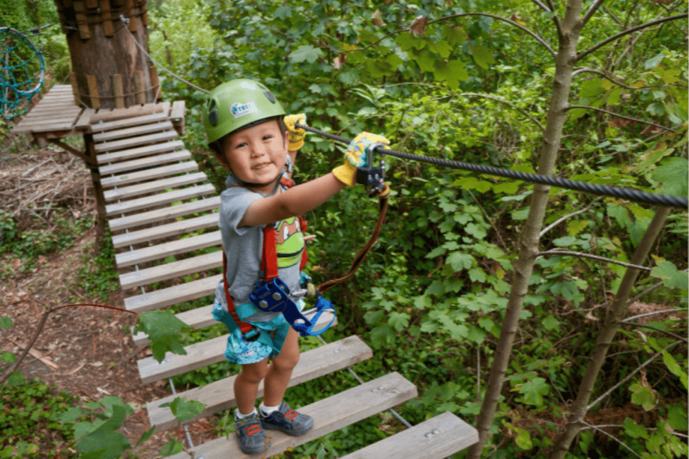 Junior Treetops Ropes Course