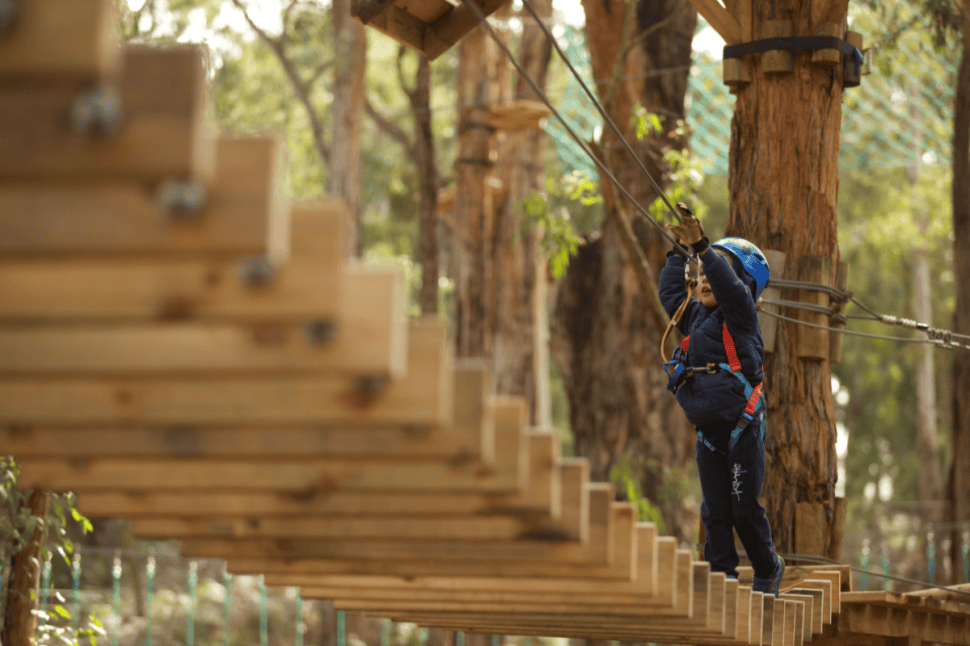Junior Treetops Ropes Course