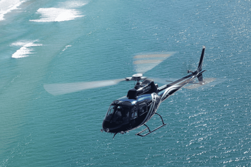 Scenic Helicopter Flight of Sea World