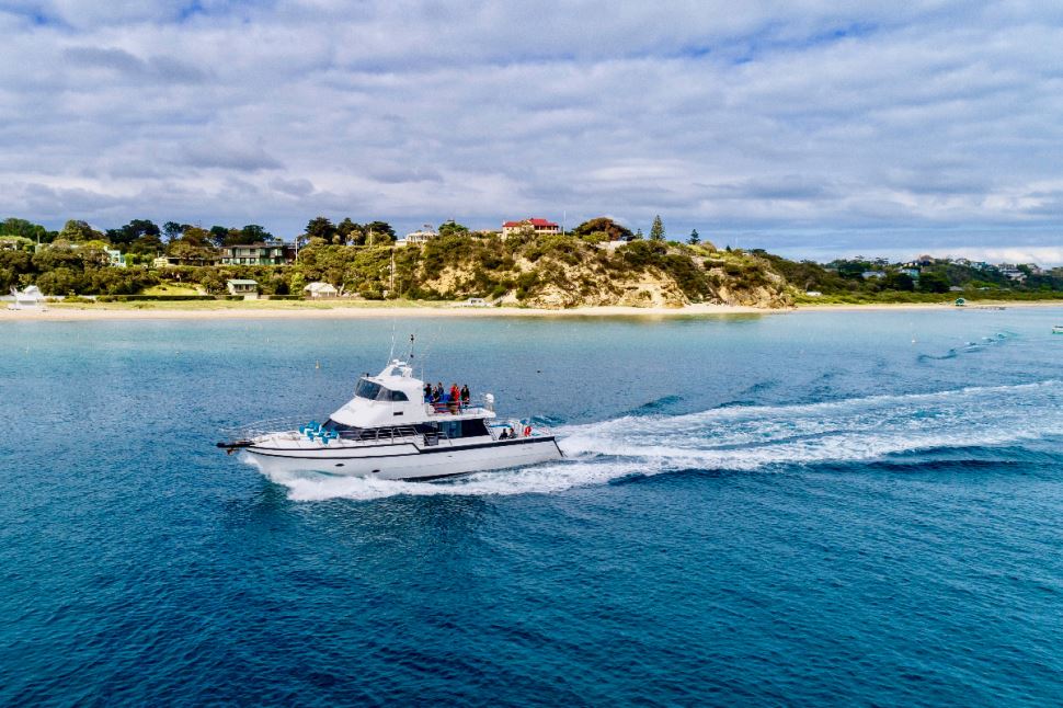 Wildlife Adventure Cruise from Sorrento