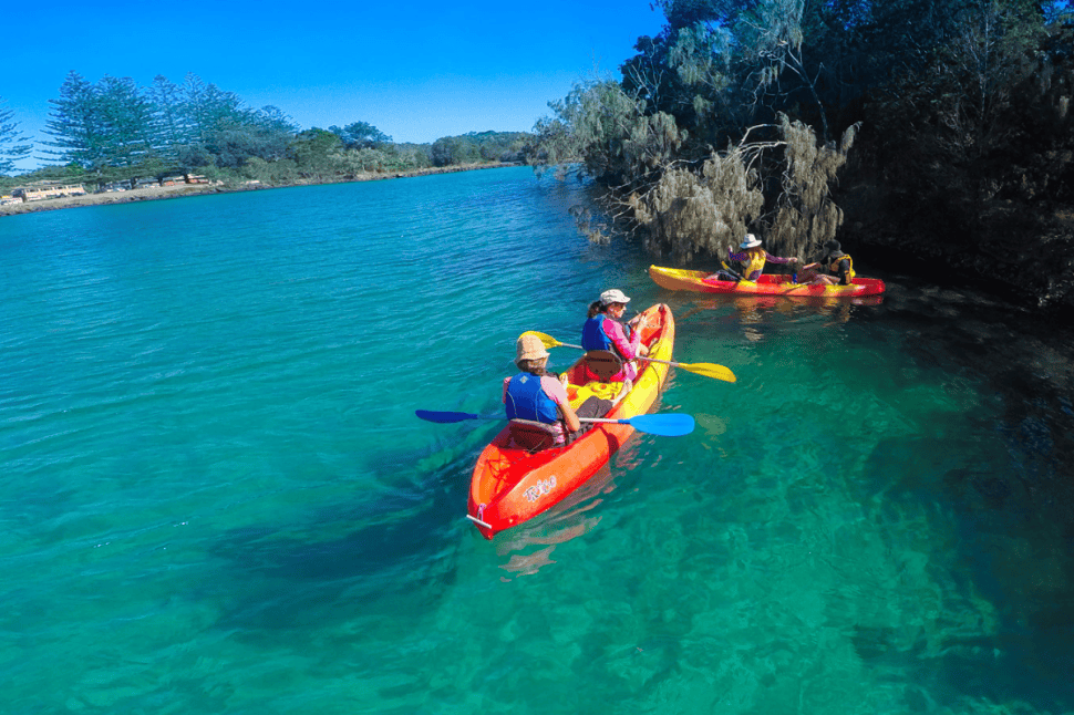 Kayaking, Brunswick River Nature Tour