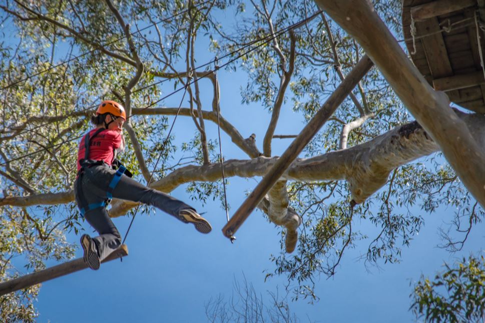 Treetops Ropes Course