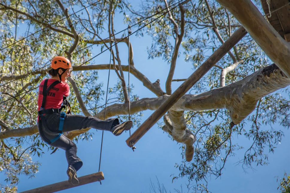 Children's Treetops Ropes Course