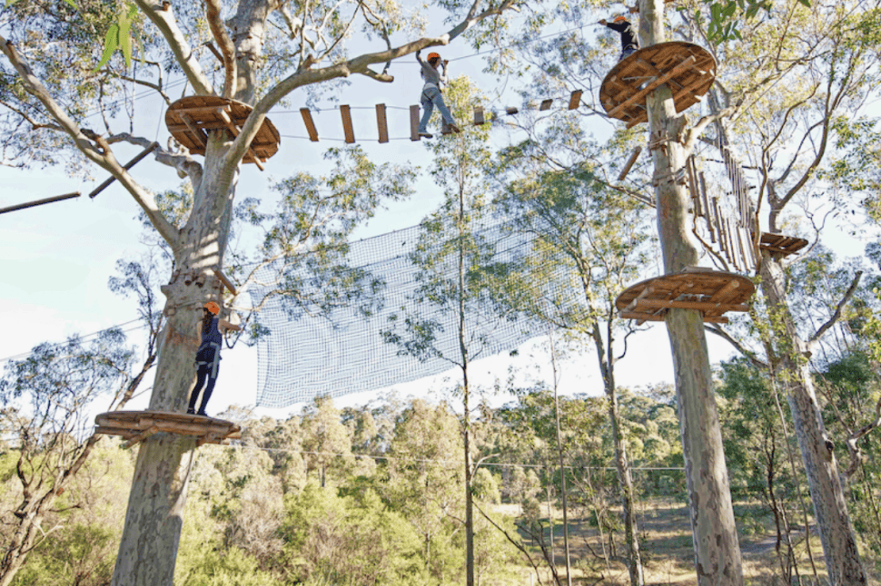 Children's Treetops Ropes Course
