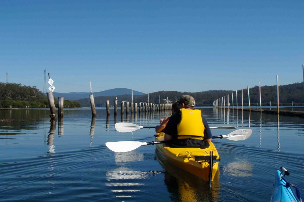 Canberra to Coast Kayak Tour with Oyster Tasting