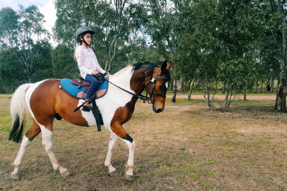 Riding Lesson at Woodlands Lodge