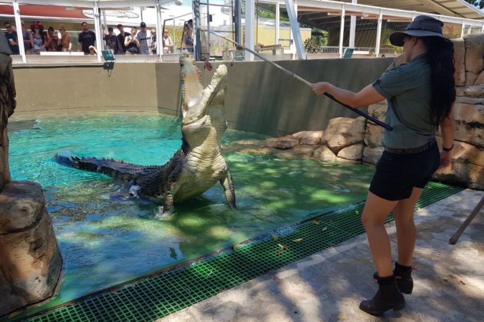 Crocosaurus Cove, Family Entry