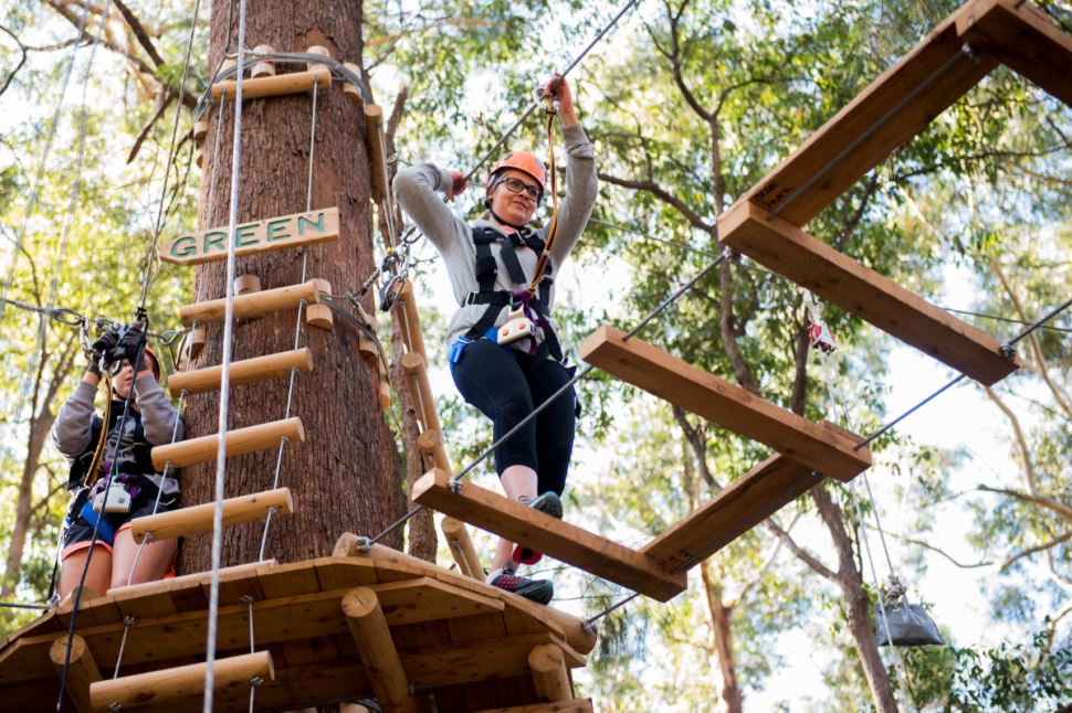 Treetops Ropes Course
