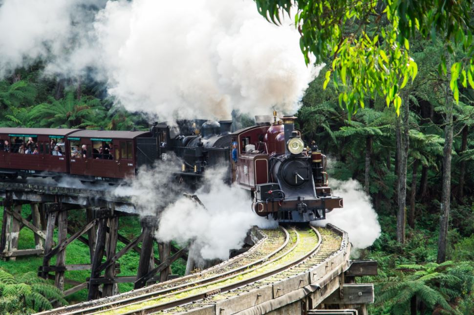Puffing Billy And Penguin Parade Tour