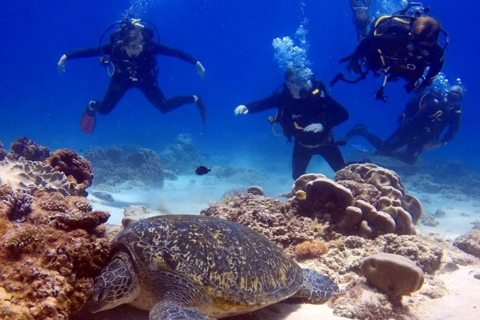Open Water Scuba Diver Course