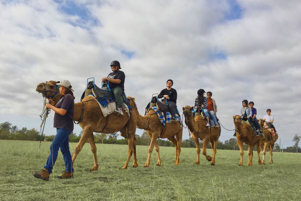 Camel Trail Ride