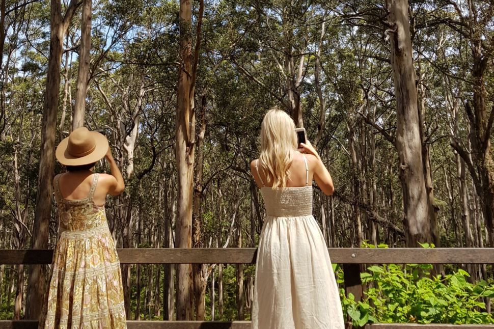 Bespoke Tour of the Margaret River for Two