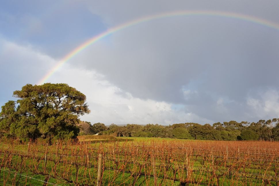 Bespoke Tour of the Margaret River for Two