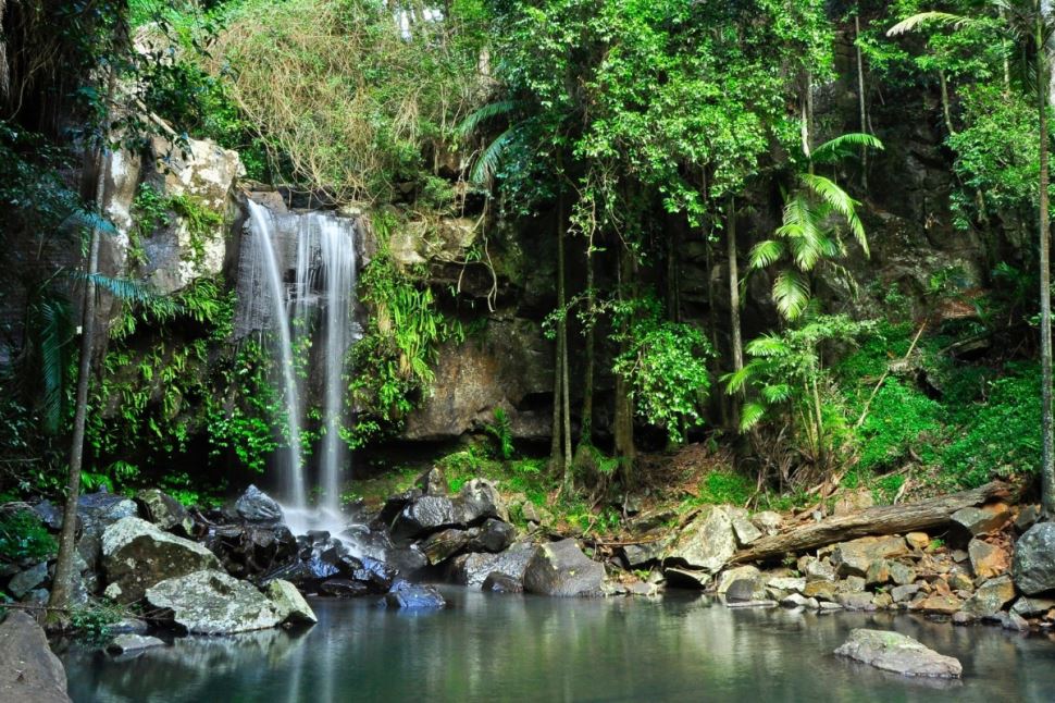 Tastes of Tamborine Mountain Tour