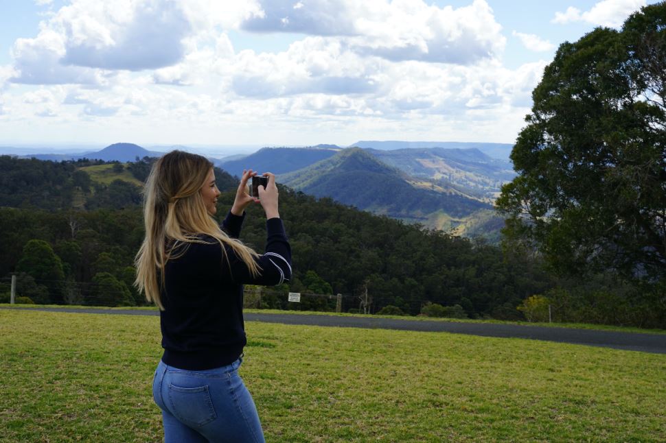 National Park, O'Reilly's and Vineyard Tour
