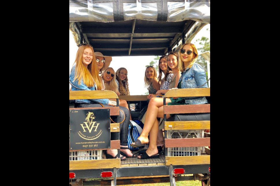 Exclusive Horse and Carriage Wine Tour for 4