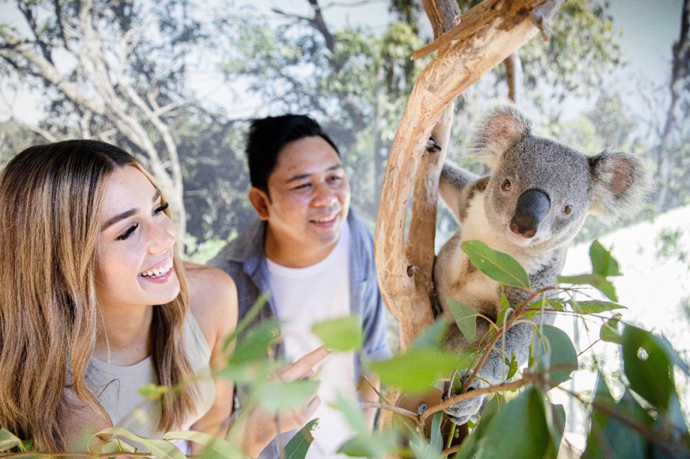 Ultimate Blue Mountains Tour