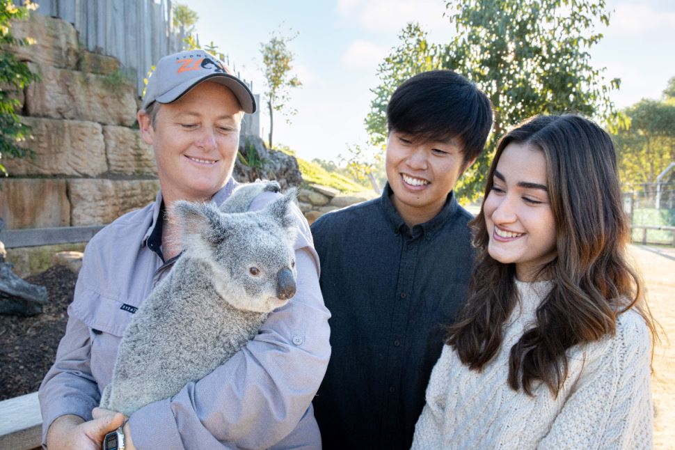 Ultimate Blue Mountains Tour