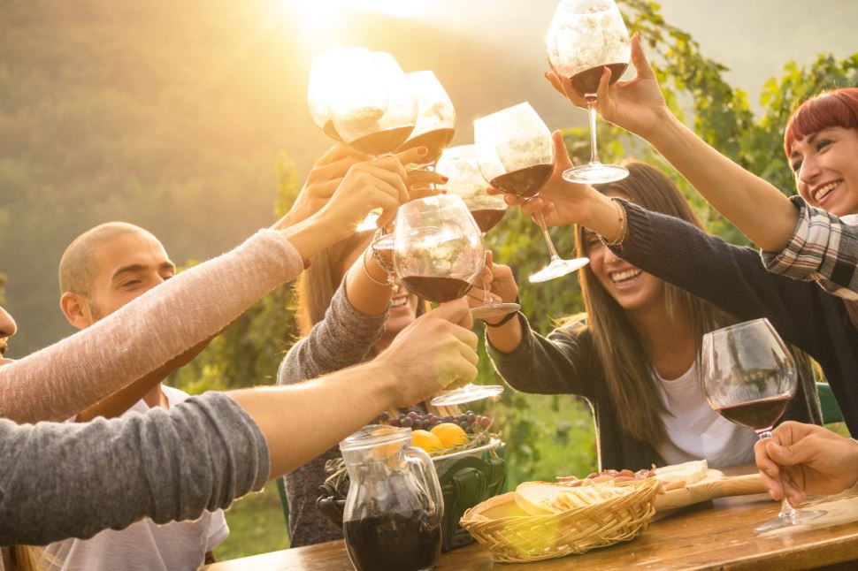 Mornington Peninsula Winery Private Car Tour